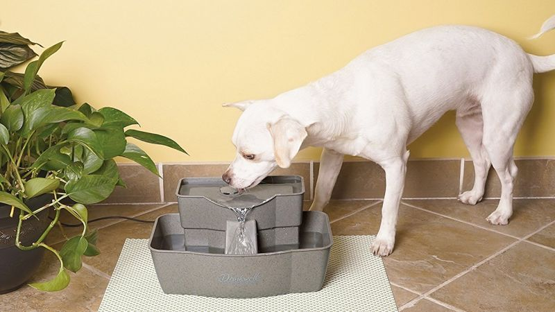 PetSafe Drinkwell, $31